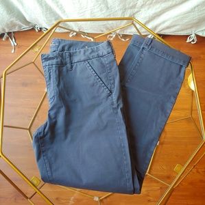 AE Navy Skinny leg Chino pants